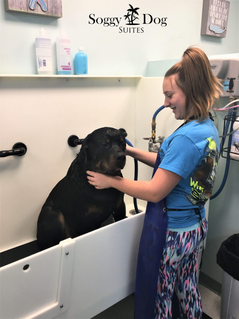 Soggy Doggy Pet Wash offers convenient DIY service